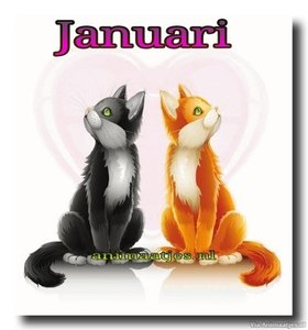 Januari Facebook plaatjes 