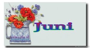 Juni Facebook plaatjes 