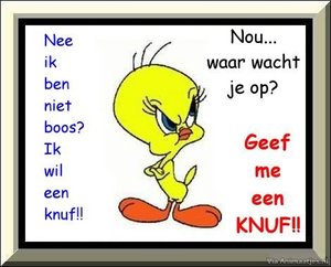 Knuffels Facebook plaatjes 