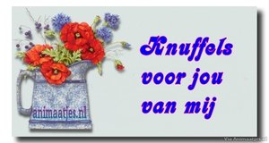 Knuffels Facebook plaatjes 