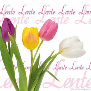 Lente Facebook plaatjes 