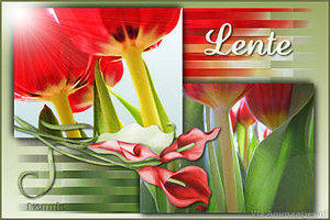 Lente Facebook plaatjes 