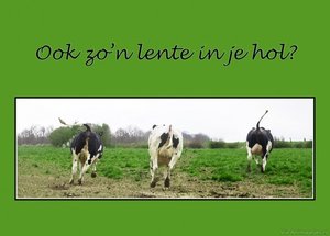 Lente Facebook plaatjes 