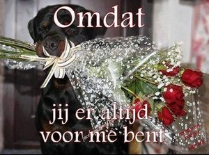 Liefde Facebook plaatjes 