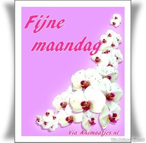 Maandag Facebook plaatjes 