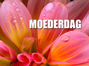 Moederdag Facebook plaatjes 