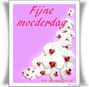 Moederdag Facebook plaatjes 