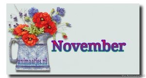 November Facebook plaatjes 