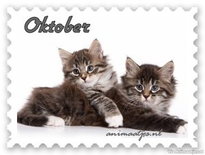 Oktober Facebook plaatjes 