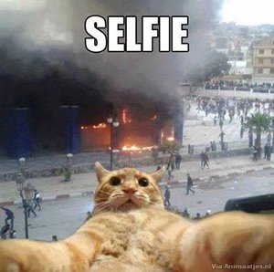 Selfie Facebook plaatjes Selfie Humor Poes
