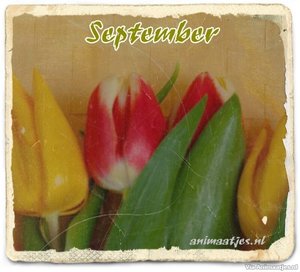 September Facebook plaatjes 