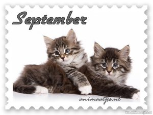 September Facebook plaatjes 