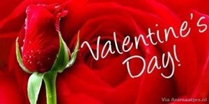 Valentijn Facebook plaatjes Roos Valentijns Dag