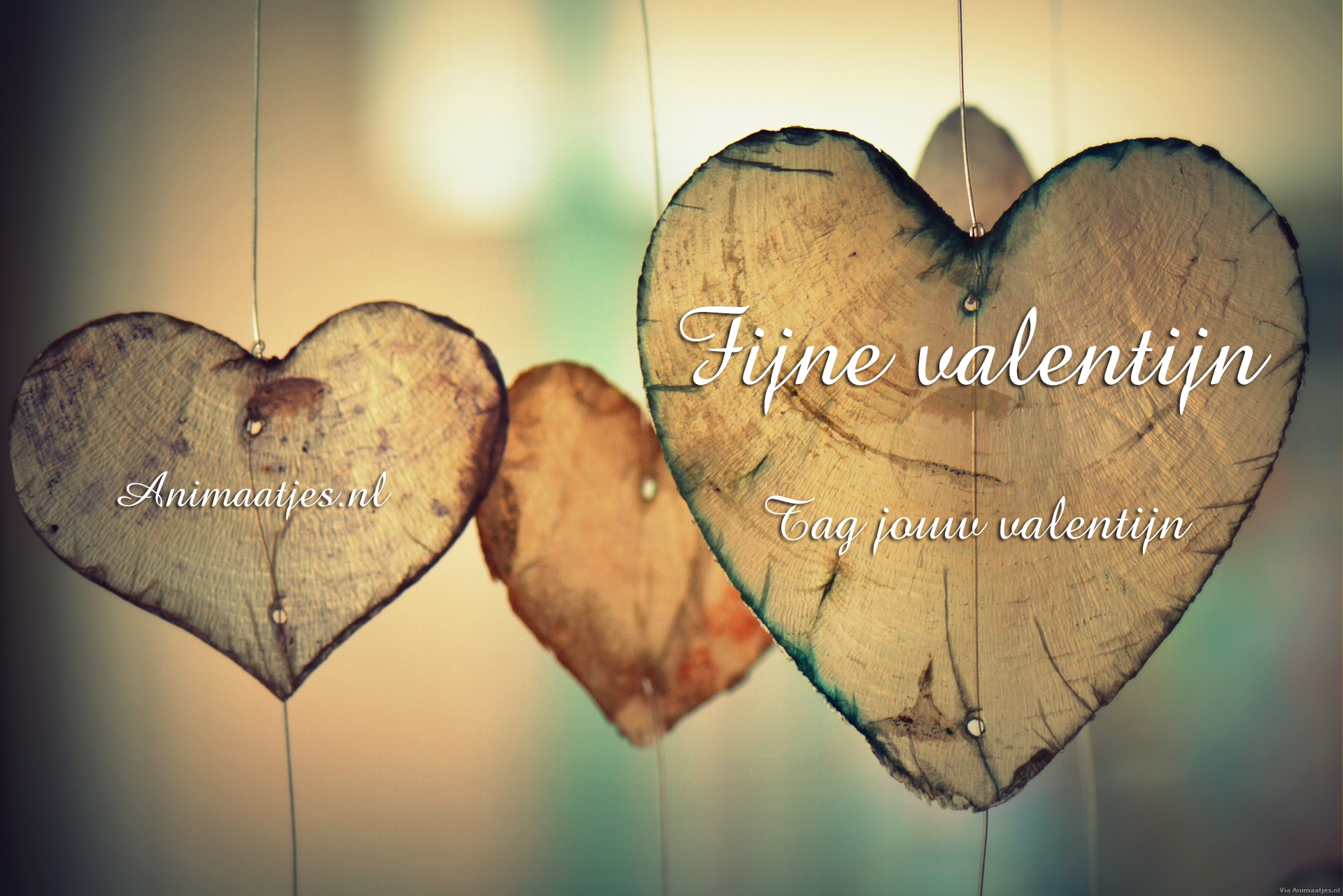 Valentijn Facebook plaatjes Fijne Valentijn Tag Jouw Valentijn