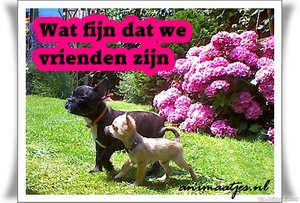 Vriendschap Facebook plaatjes 