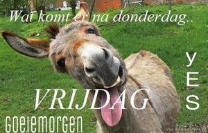 Vrijdag Facebook plaatjes 