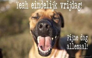 Vrijdag Facebook plaatjes 