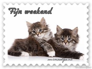 Weekend Facebook plaatjes 