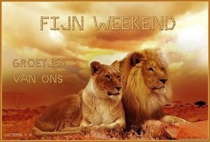 Weekend Facebook plaatjes Facebookplaatje Fijn Weekend Leeuwen Bij Zonsondergang