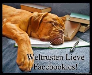 Welterusten Facebook plaatjes Welterusten Lieve Facebookies