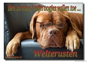 Welterusten Facebook plaatjes 