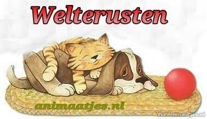 Welterusten Facebook plaatjes 