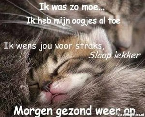 Welterusten Facebook plaatjes 