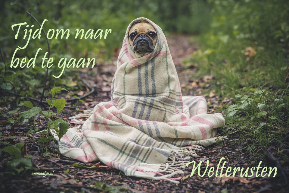 Welterusten Facebook plaatjes Tijd Om Naar Bed Te Gaan Welterusten