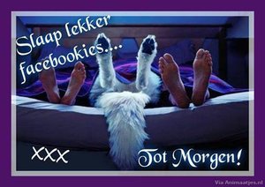 Welterusten Facebook plaatjes Slaap Lekker