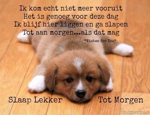 Welterusten Facebook plaatjes Slaap Lekker