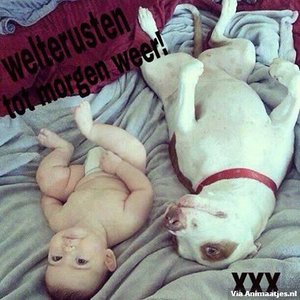 Welterusten Facebook plaatjes 