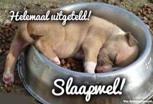 Welterusten Facebook plaatjes 