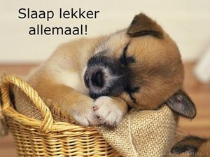 Welterusten Facebook plaatjes 