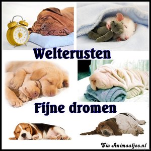 Welterusten Facebook plaatjes 