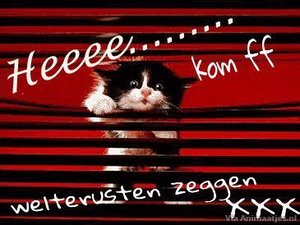 Welterusten Facebook plaatjes Welterusten