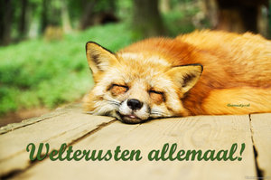 Welterusten Facebook plaatjes Vos, Welterusten Allemaal