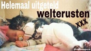 Welterusten Facebook plaatjes 