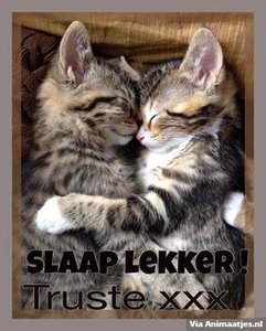 Welterusten Facebook plaatjes 