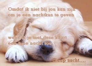 Welterusten Facebook plaatjes 