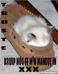 Welterusten Facebook plaatjes 