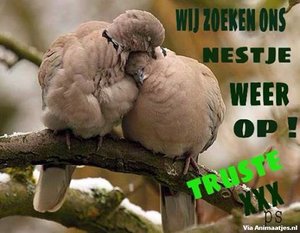 Welterusten Facebook plaatjes 