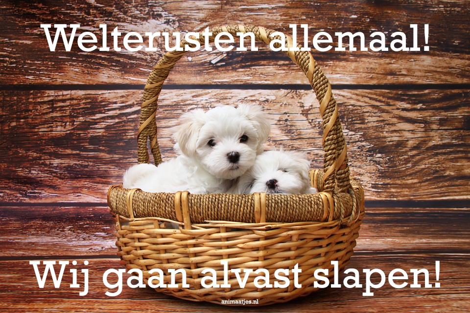 Welterusten Facebook plaatjes De leukste plaatjes van ons Dirk leuke plaatjes groep 