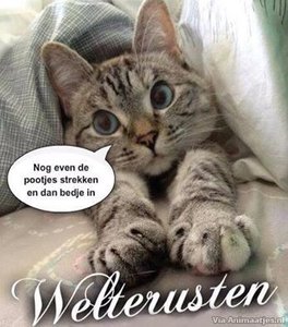 Welterusten Facebook plaatjes Welterusten