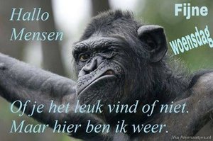 Woensdag Facebook plaatjes 