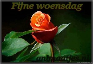 Woensdag Facebook plaatjes 
