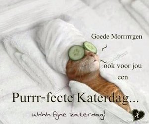 Zaterdag Facebook plaatjes 