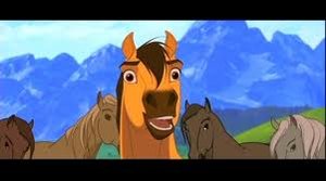 Films en series Films Spirit stallion of the cimarron 