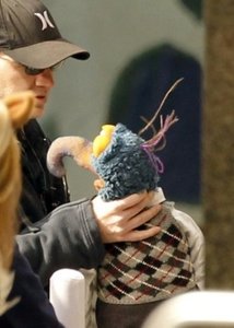 Films en series Films The muppets 