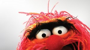 Films en series Films The muppets 