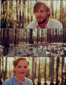 Films en series Films The notebook 